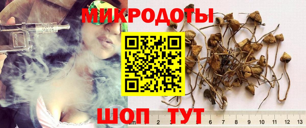 Вышний Волочёк  Псилоцибиновые грибы ЛСД  Вход с VPN 