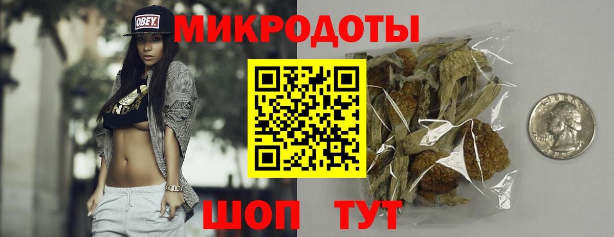 Псилоцибиновые грибы мицелий Вышний Волочёк